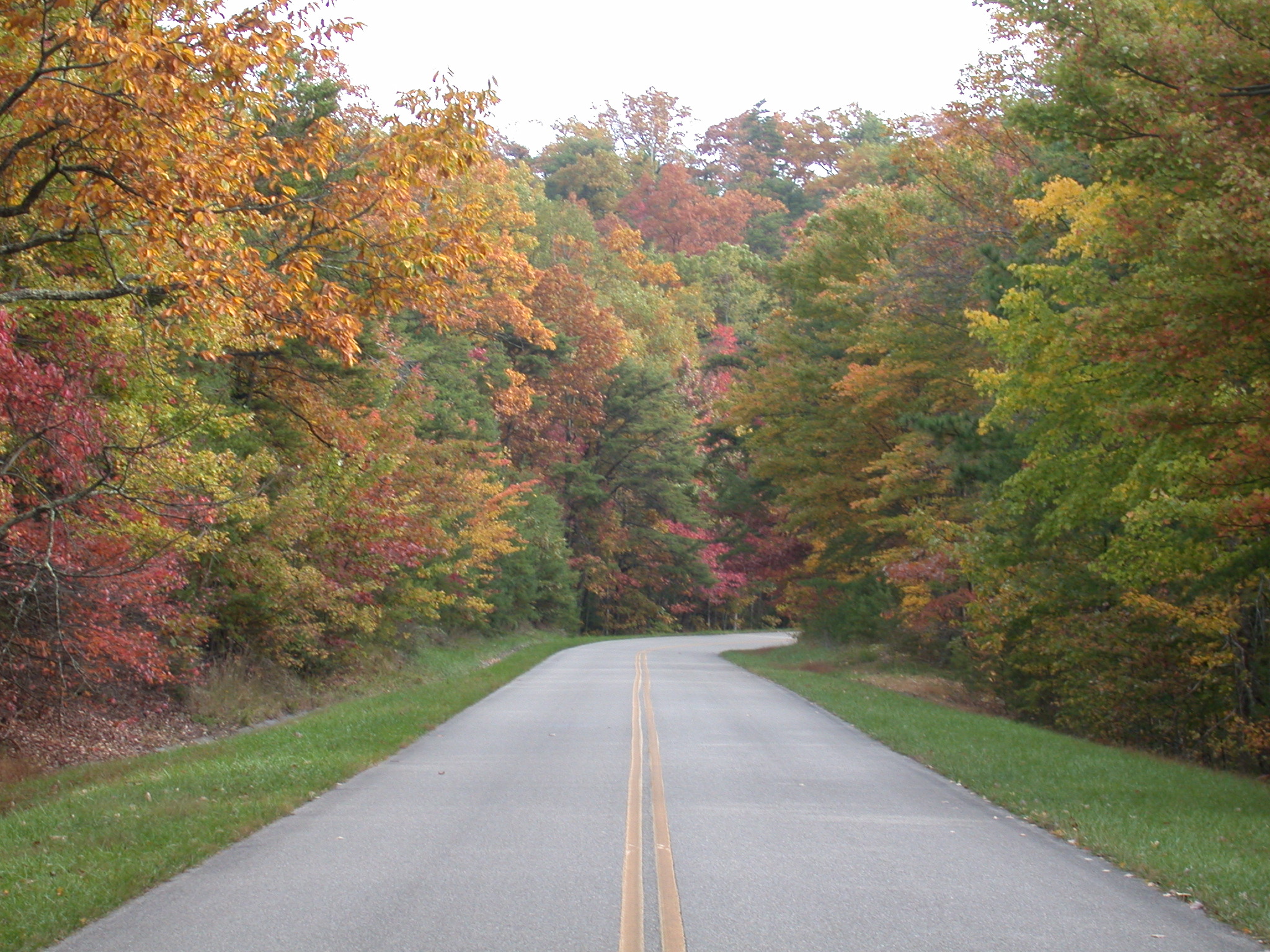 Blue Ridge Parkway in autumn with fall foliage colors near Waynesville NC